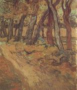 Vincent Van Gogh The Garden of Saint-Paul Hospital with Figure (nn04) USA oil painting artist